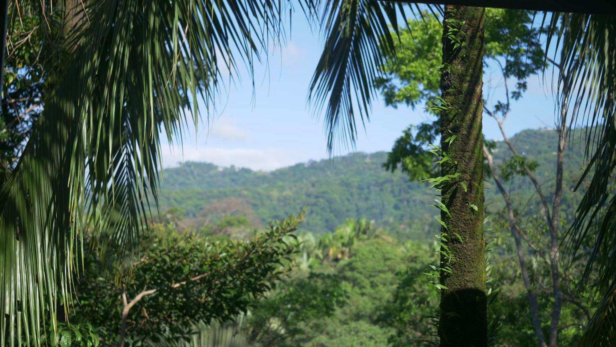 Casa Oh - Oceanview Guesthouse Uvita Dış mekan fotoğraf